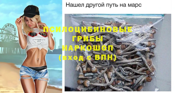 соль ск Навашино