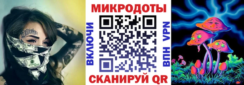 Галлюциногенные грибы Psilocybine cubensis  Партизанск 
