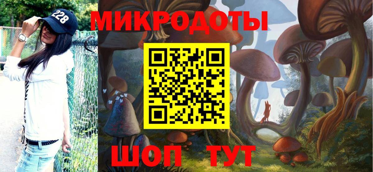 Псилоцибиновые грибы Cubensis  Вход с VPN  Партизанск 